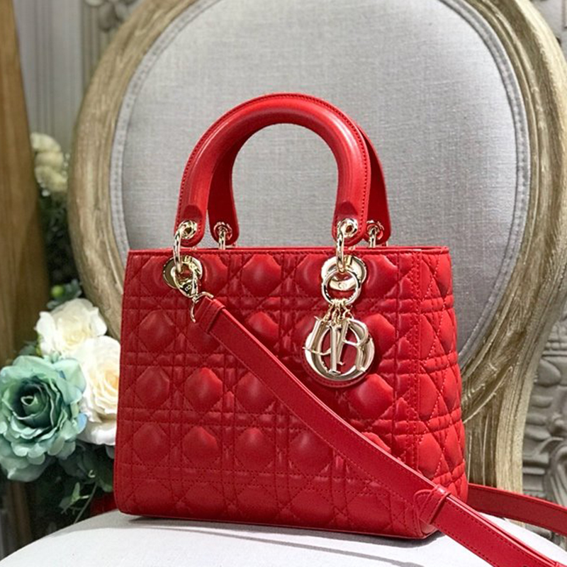 Dior The LADY D-LITE Bag  AAA Quality