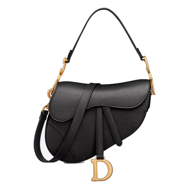 Dior Saddle Bag  With Strap