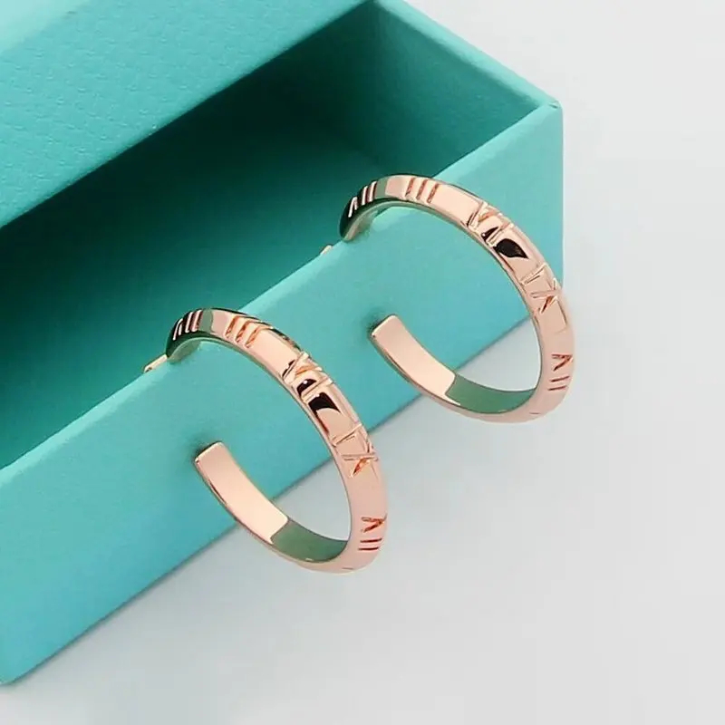 Tiffany Jewelry Earrings Accessories