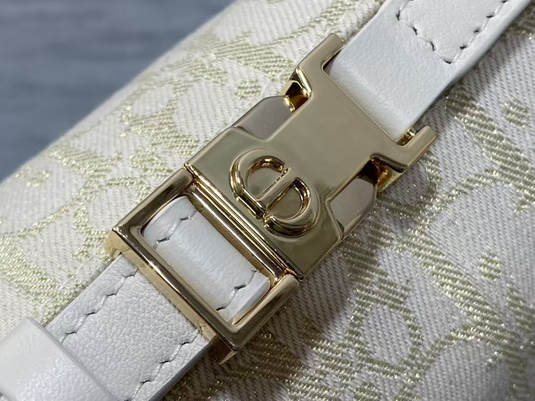 DiorTravel Nomad Clutch