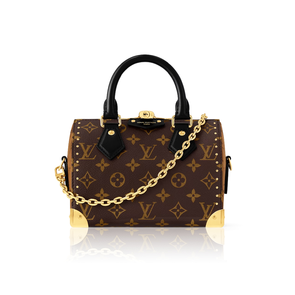 Louis Vuitton Speedy Trunk 20