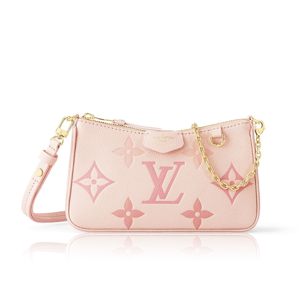 Louis Vuitton LV Easy Pouch Bag