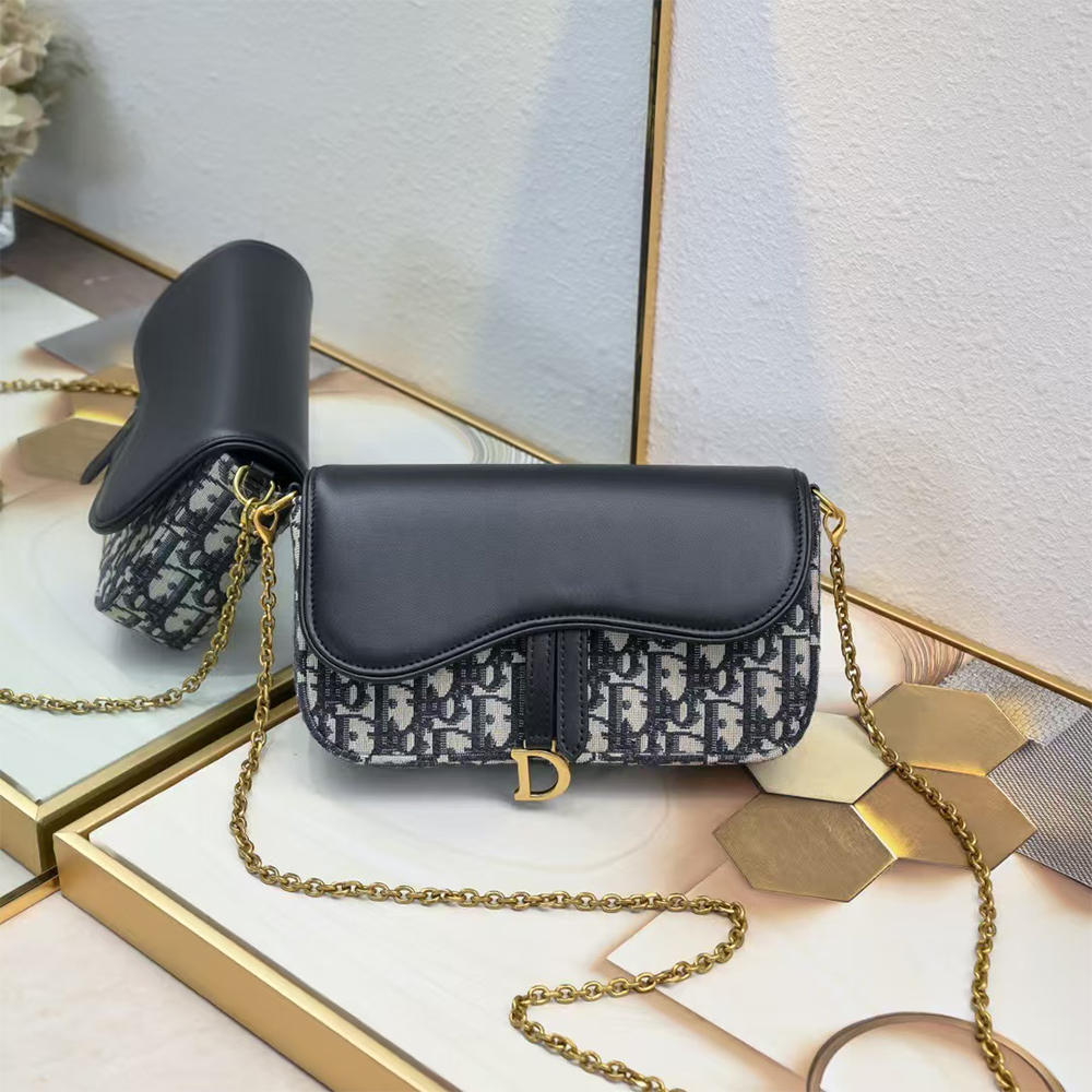 Dior Saddle Chain Bag
