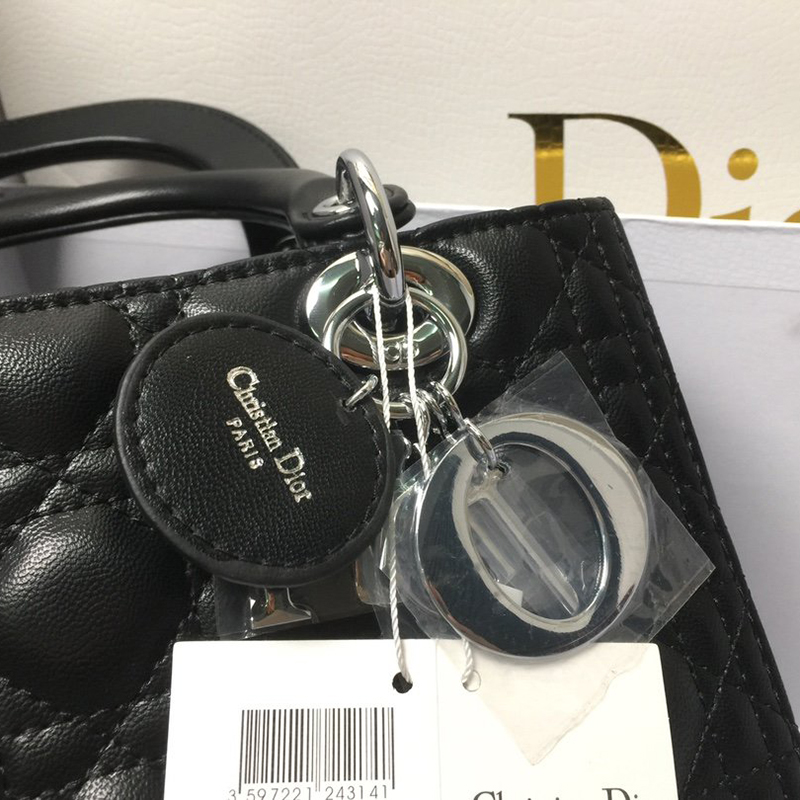 Dior The LADY D-LITE Bag  AAA Quality