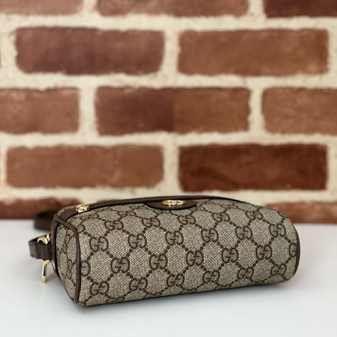 GUCCI Ophidia GG mini shoulder bag