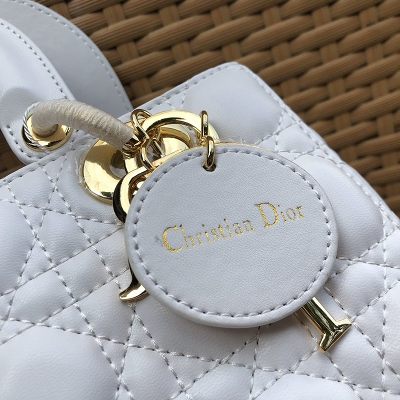 Dior The LADY D-LITE Bag AAA Quality