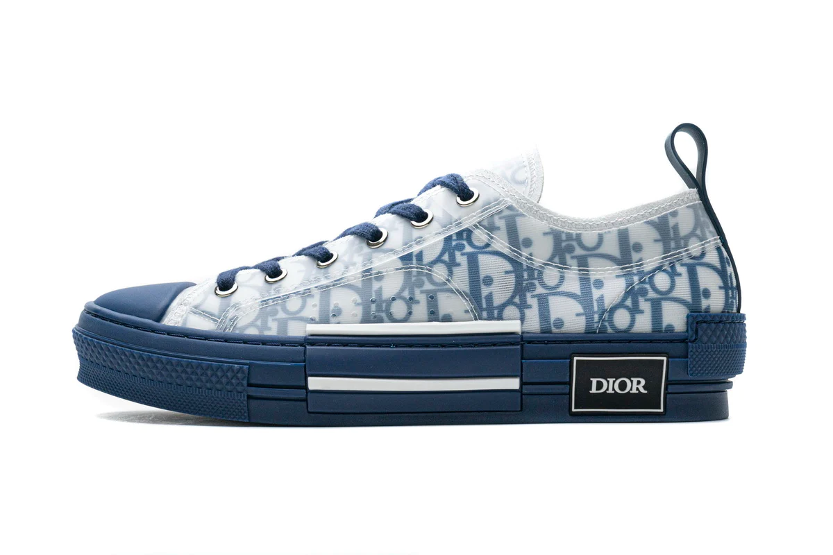 DIOR x KAWS B23 LOW WHITE BLUE