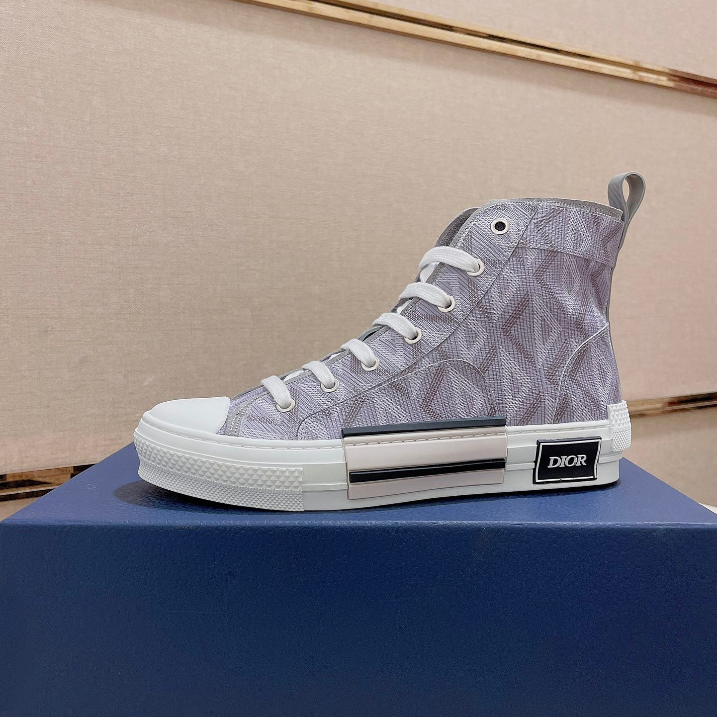 Dior B23 New Graphics Canvas Shoes 01