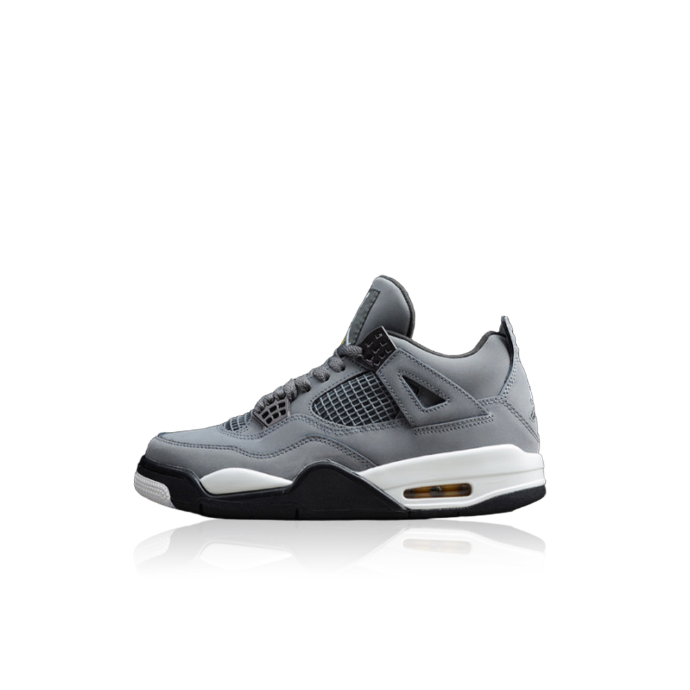 Air Jordan 4 Cool Grey 2019 308497-007