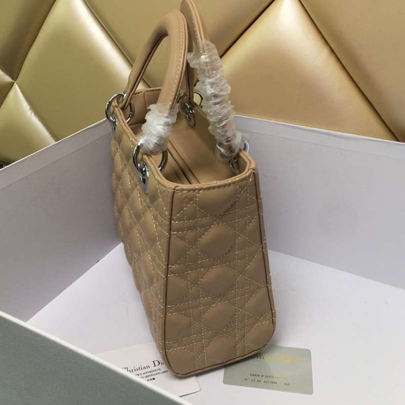 Dior The LADY D-LITE Bag  AAA Quality
