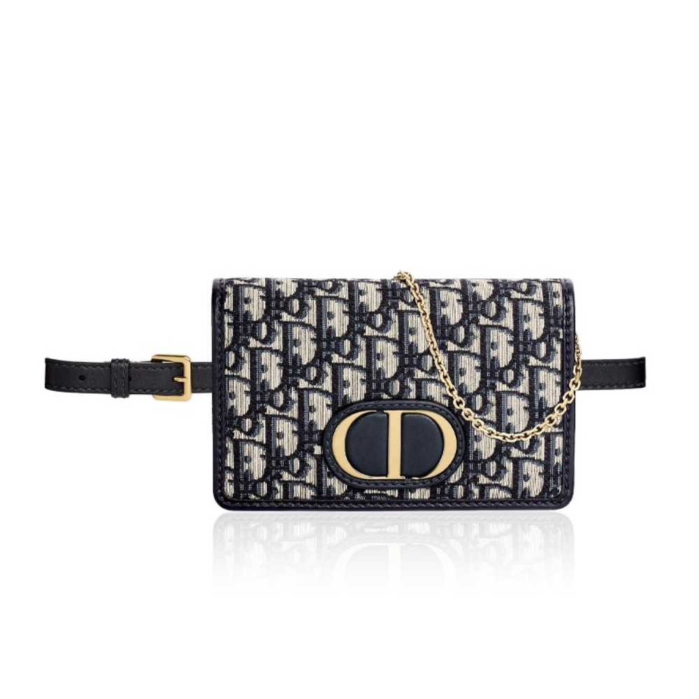 DIOR 30 Montaigne Canvas Shoulder Bag