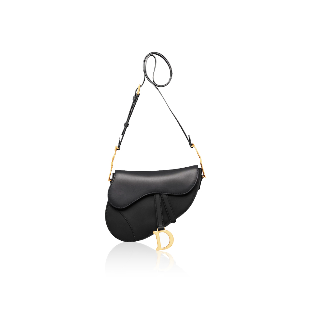 Dior SADDLE Bag Classic Collections