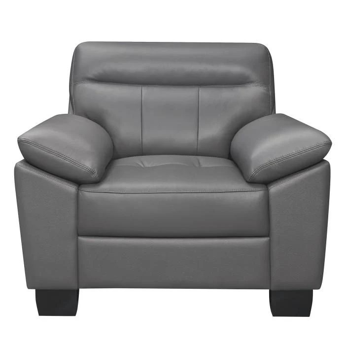 Denizen Chair in Dark Gray 9537DGY-1