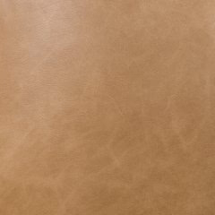 Neymorton Counter Height Barstool (Set of 2)