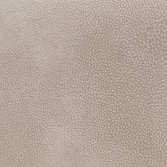 4Z-Peaceful Pause Power Lift Recliner