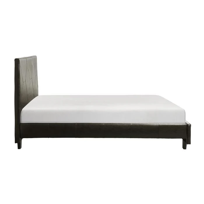 DeLeon (2)Queen Platform Bed