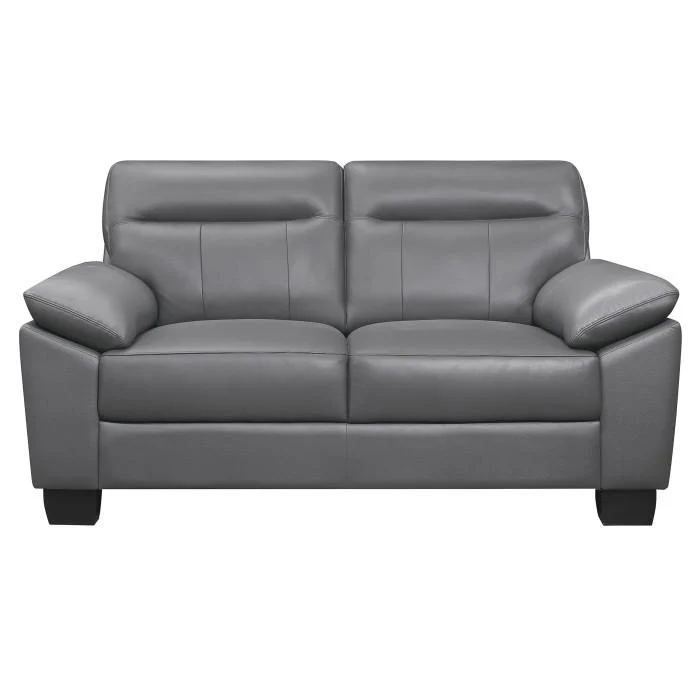 Denizen Loveseat in Dark Gray 9537DGY-2