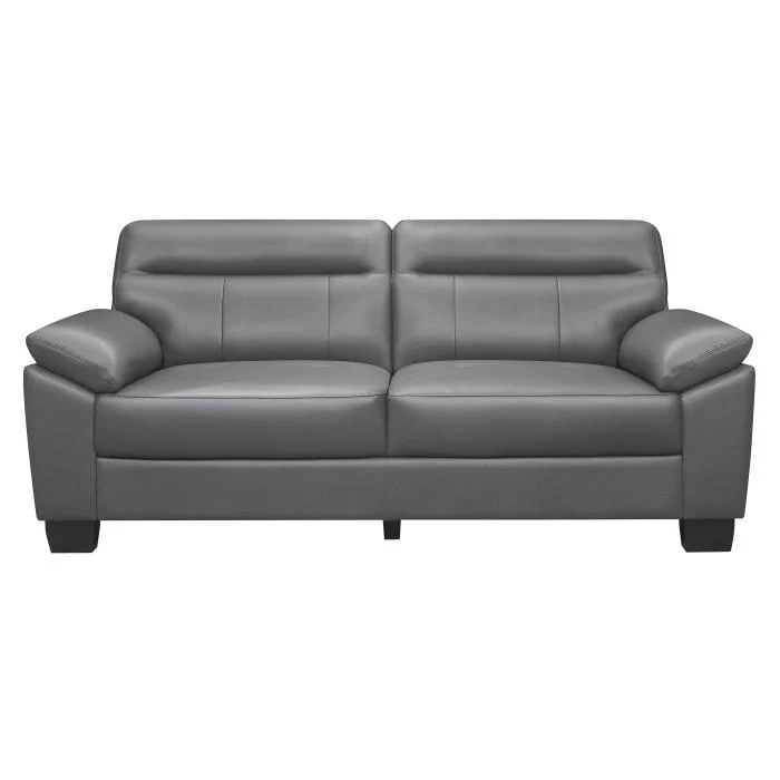 Denizen Sofa in Dark Gray 9537DGY-3