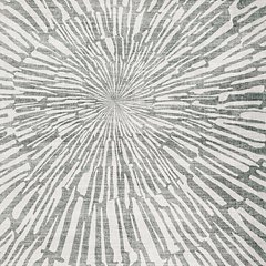 Verland Washable Area Rug