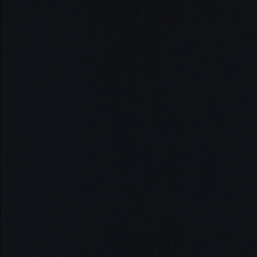 Littleton Littleton Twin/Twin Bunk Bed Black