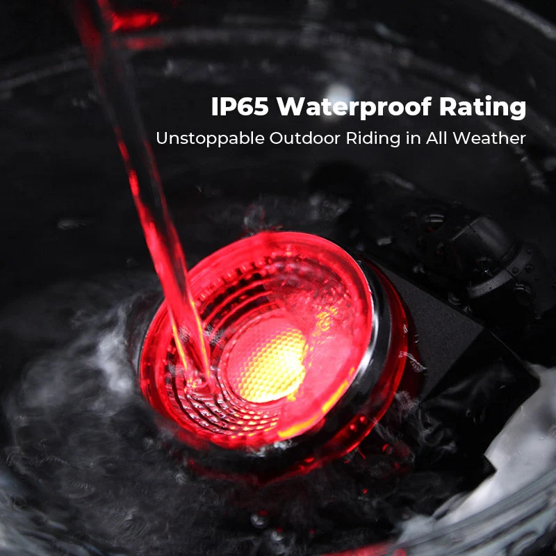 Anti-Theft Alarm Taillight