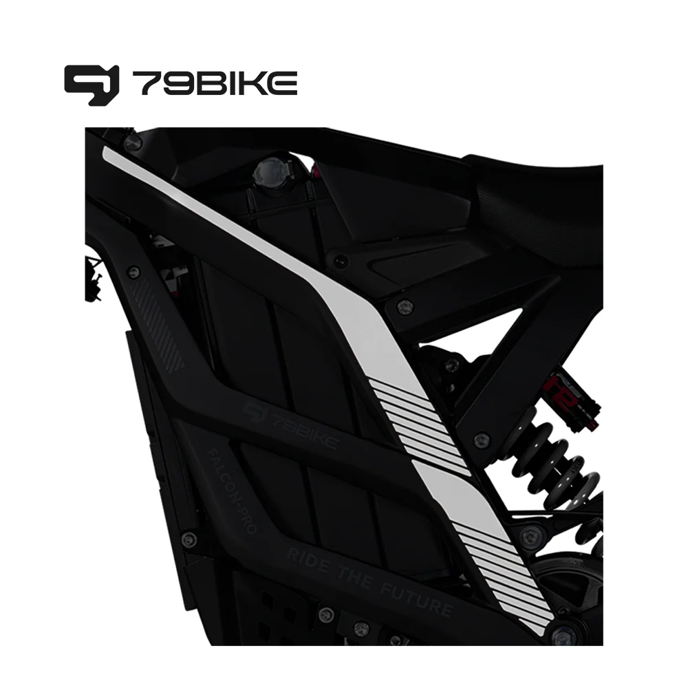 79Bike Stickers for Falcon Pro