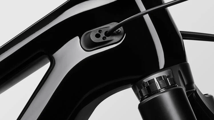 Torque Mullet CF 7