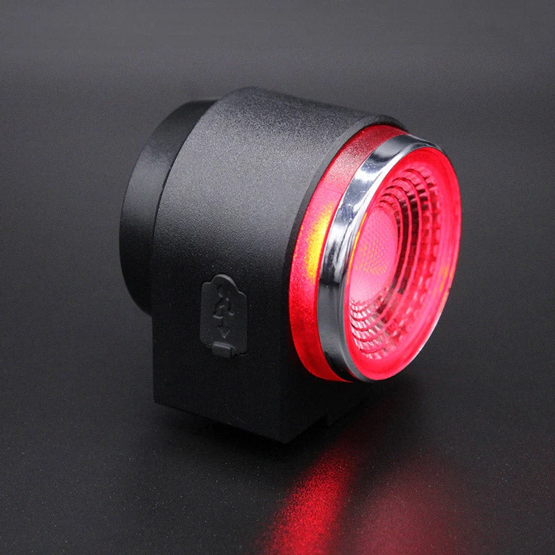 Anti-Theft Alarm Taillight