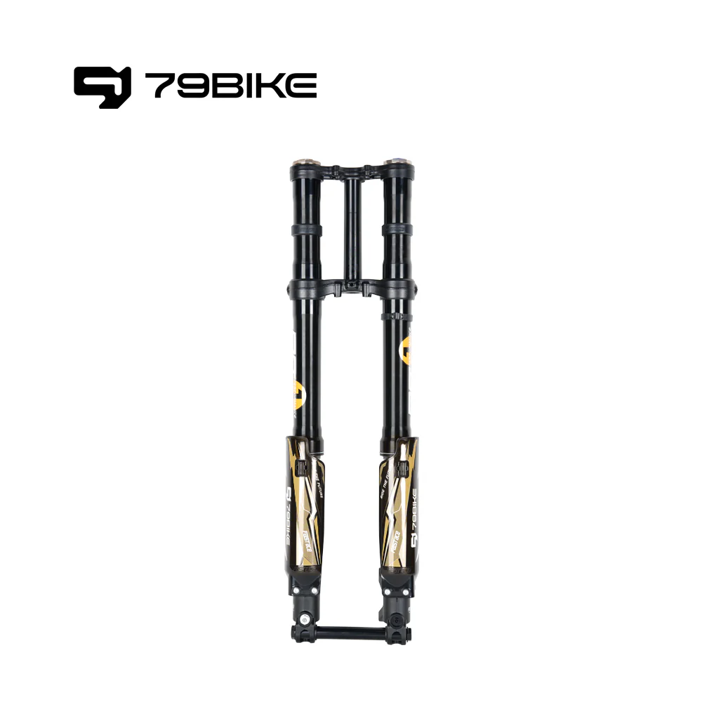 79Bike Falcon Pro FastAce ALX33RC 2.0 Fork (for Replacement)