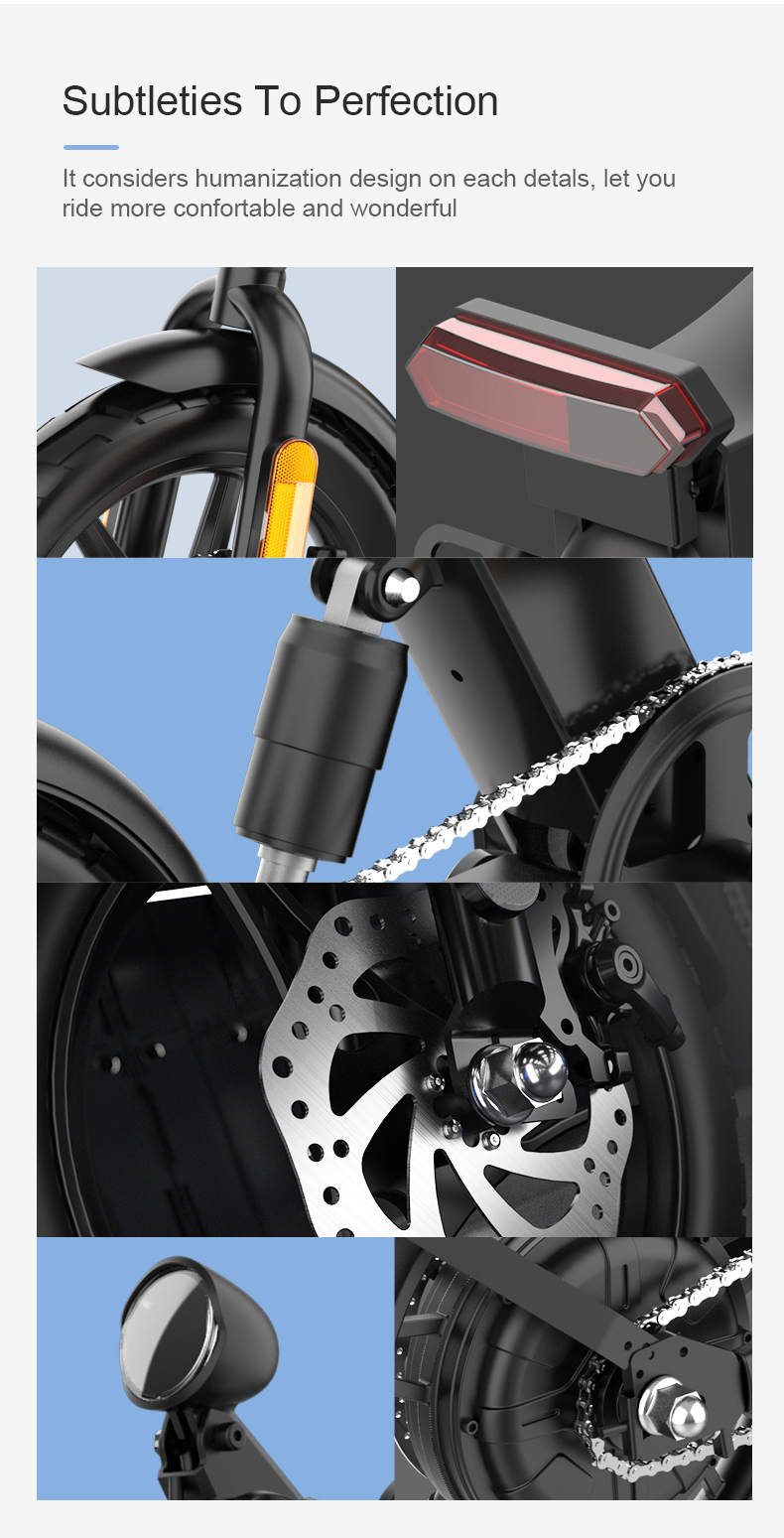 Folding Electric Bike 36V 250W 14