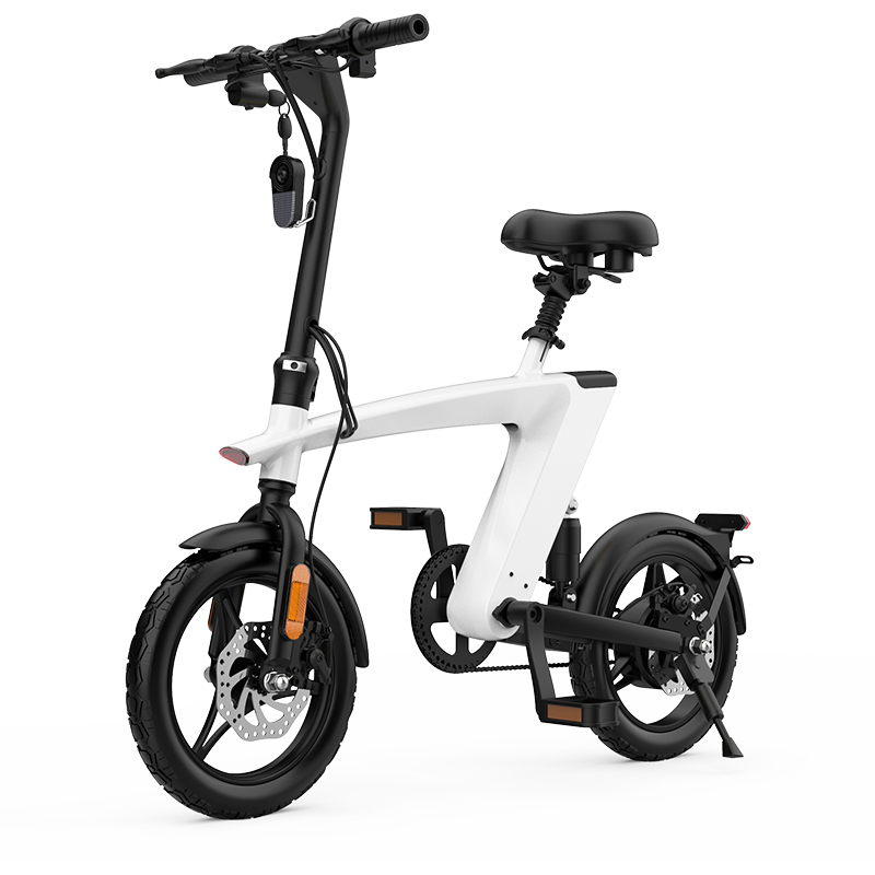 Folding Electric Bike 36V 250W 14