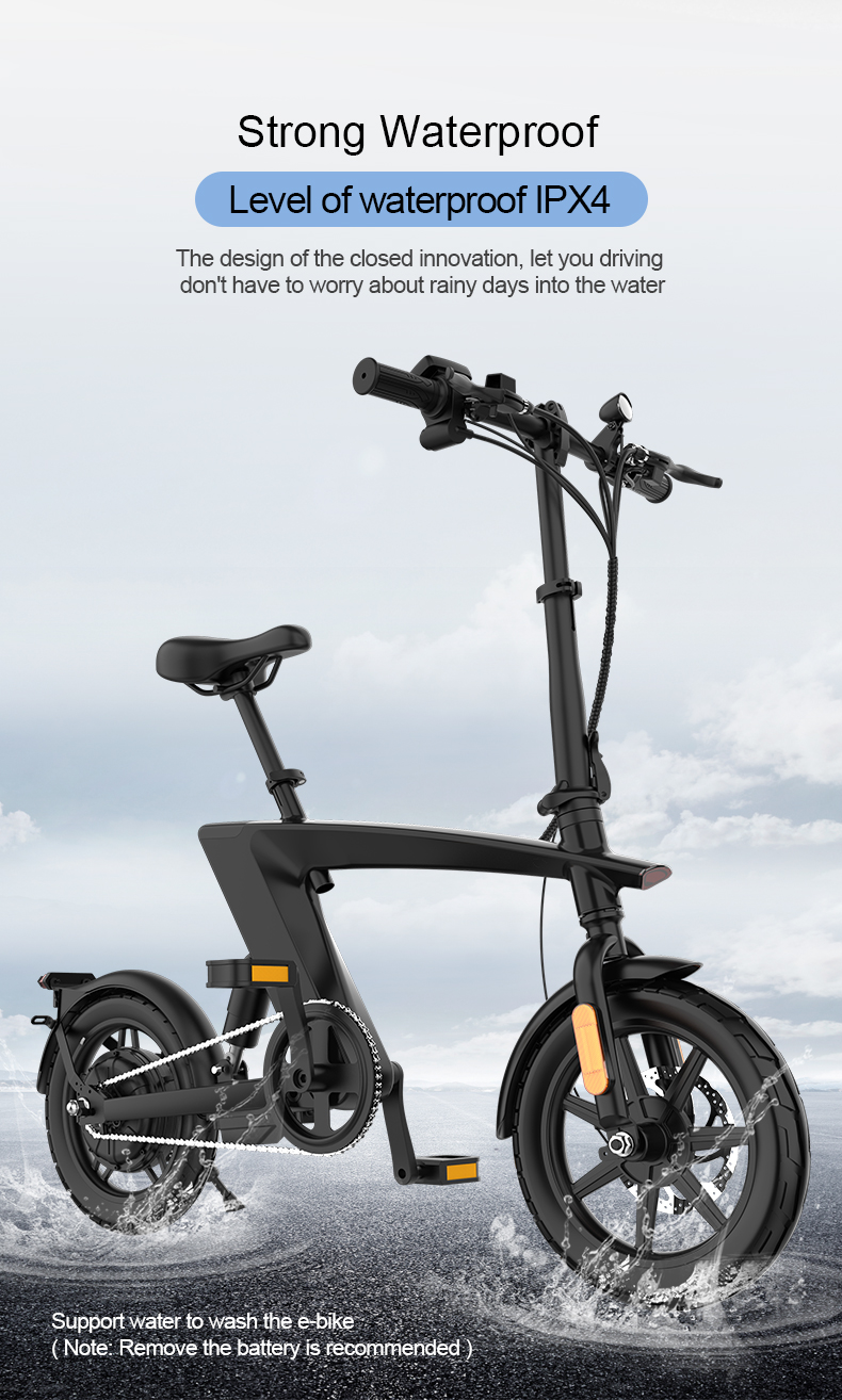 Folding Electric Bike 36V 250W 14