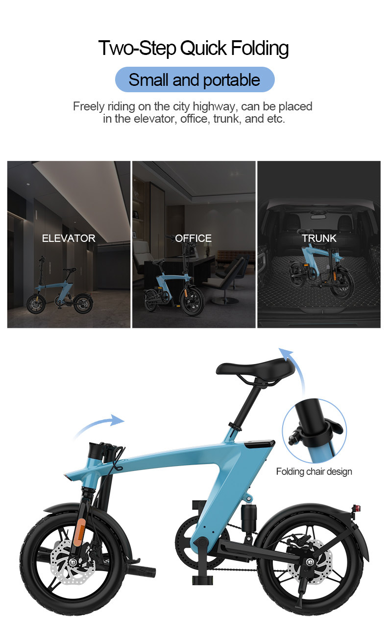 Folding Electric Bike 36V 250W 14