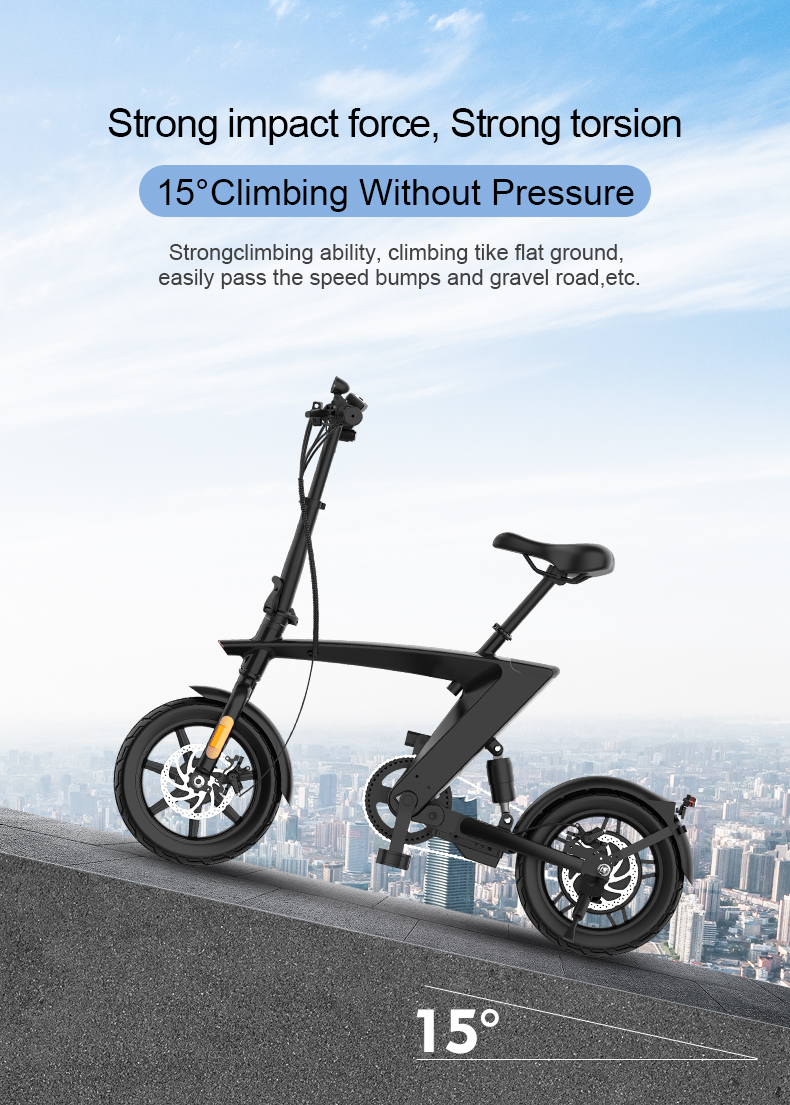 Folding Electric Bike 36V 250W 14