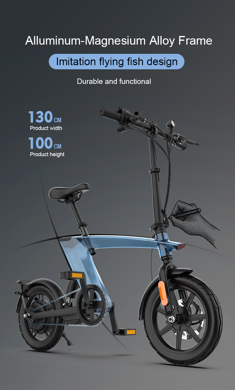 Folding Electric Bike 36V 250W 14