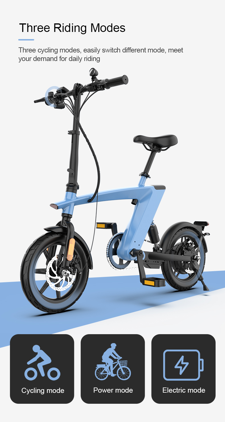 Folding Electric Bike 36V 250W 14