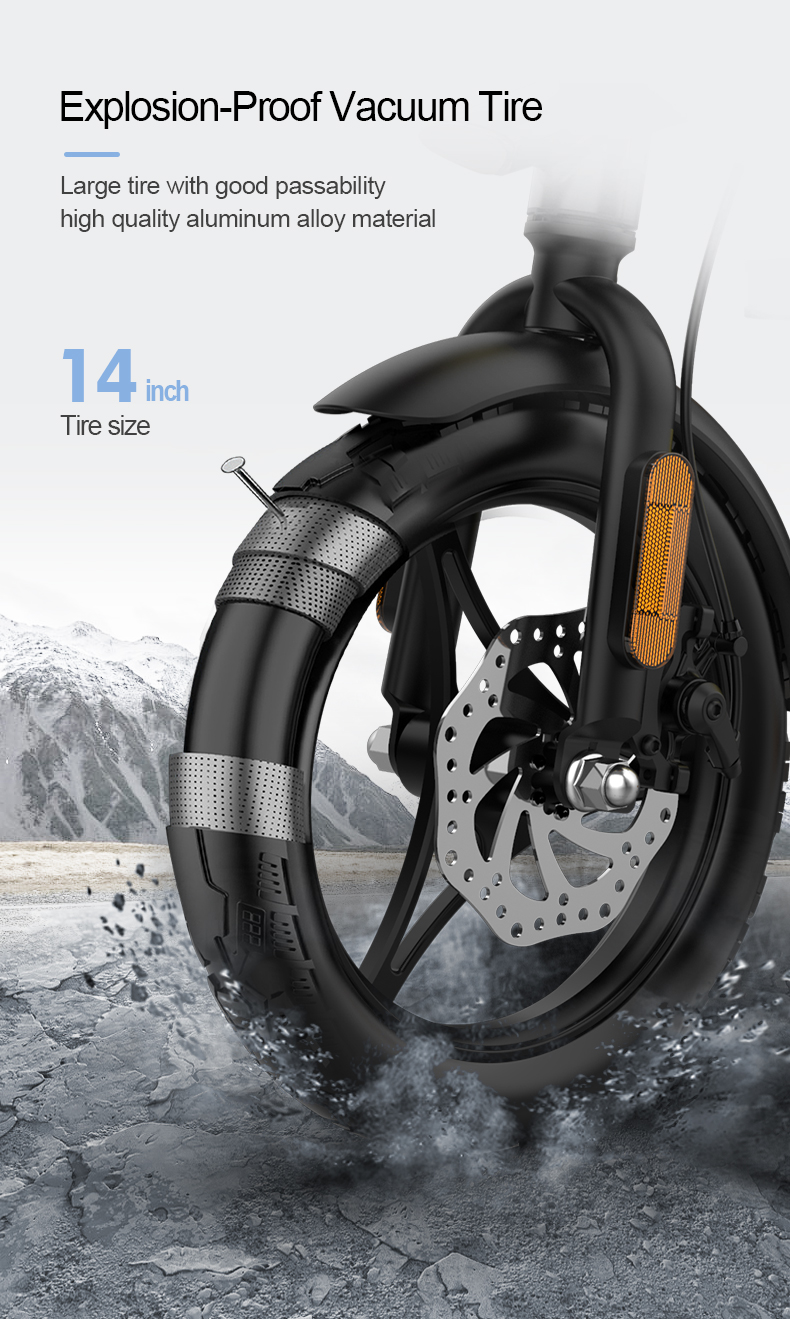 Folding Electric Bike 36V 250W 14