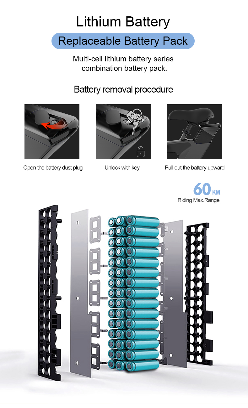 Folding Electric Bike 36V 250W 14