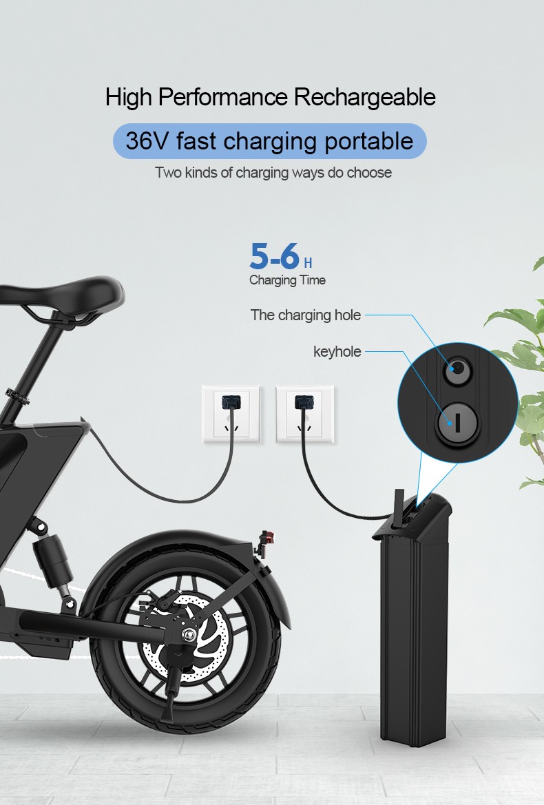 Folding Electric Bike 36V 250W 14
