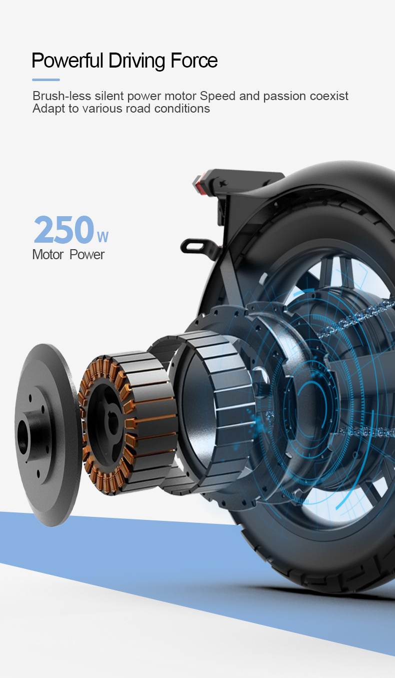 Folding Electric Bike 36V 250W 14