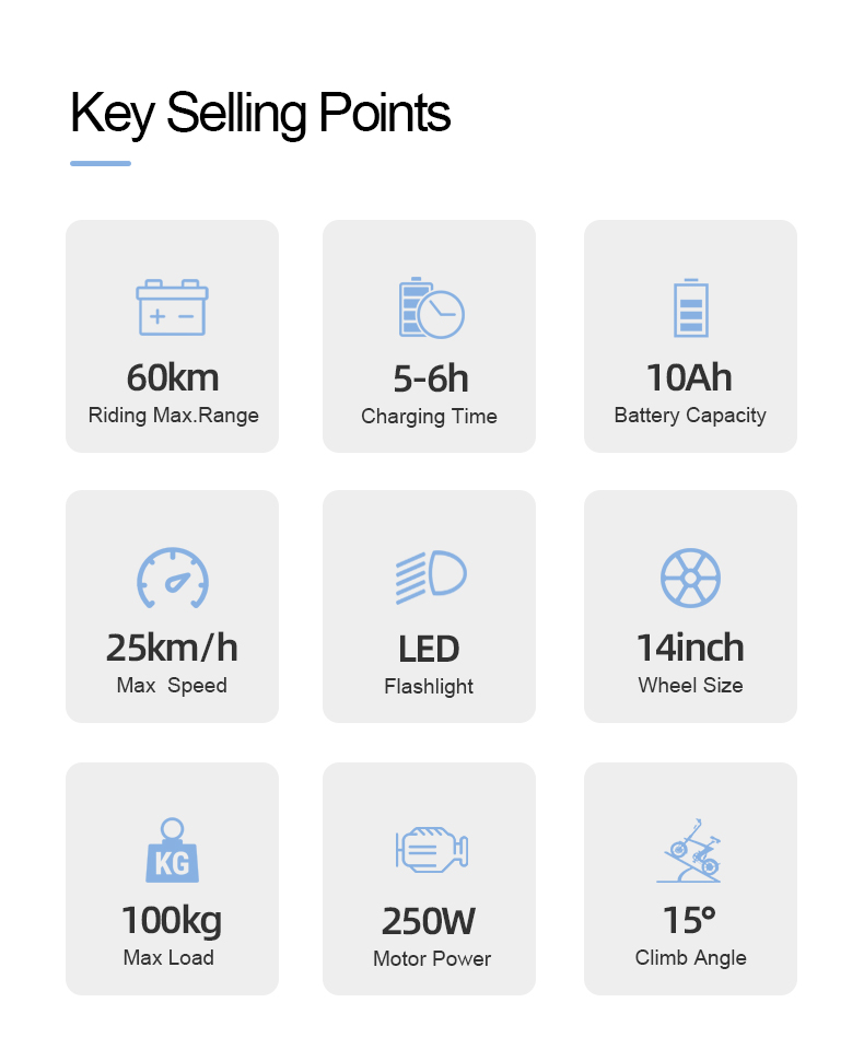 Folding Electric Bike 36V 250W 14