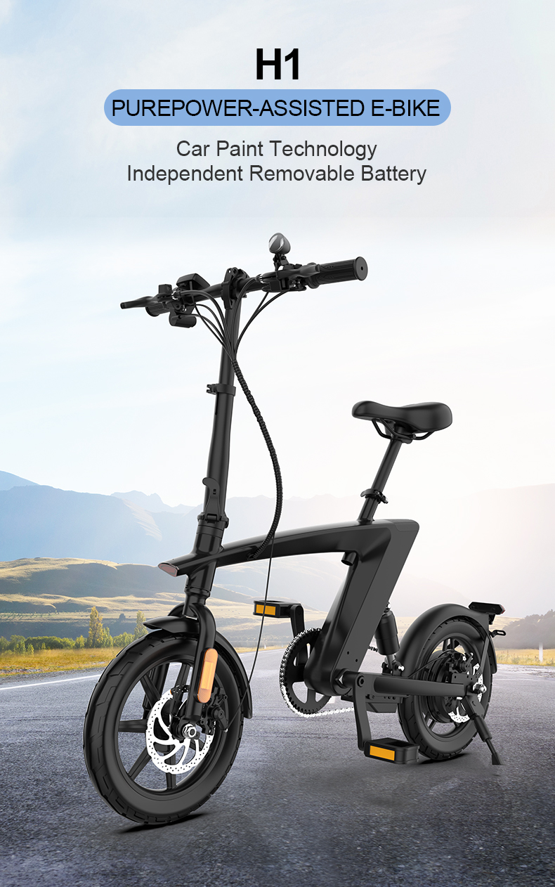 Folding Electric Bike 36V 250W 14