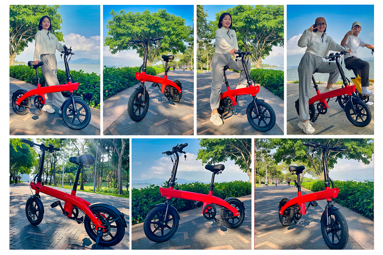 Folding Electric Bike for Adults – 14-Inch Portable Commuter E-Bike with 250W Brushless Motor, Removable Lithium Battery & Disc Brakes