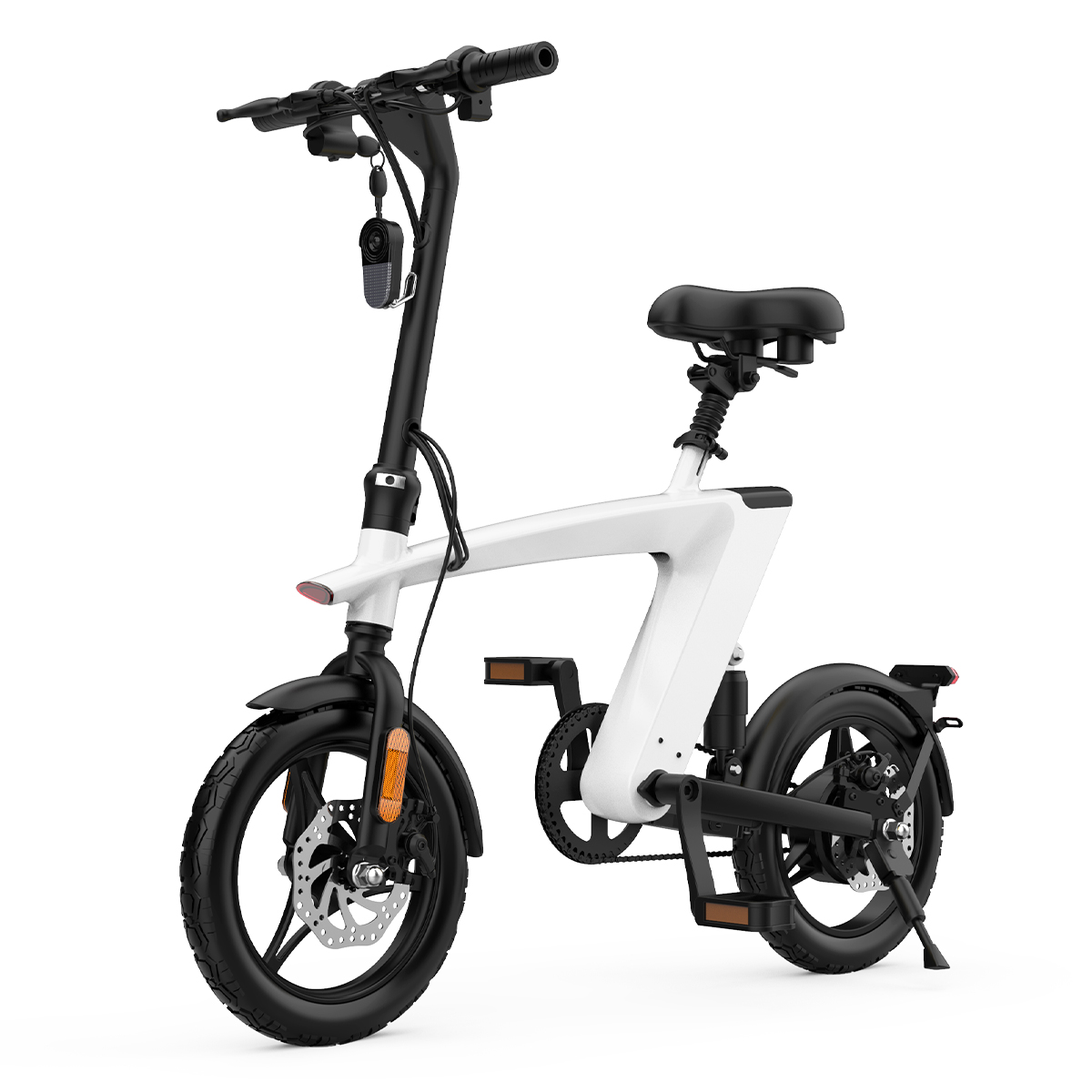 Folding Electric Bike 36V 250W 14