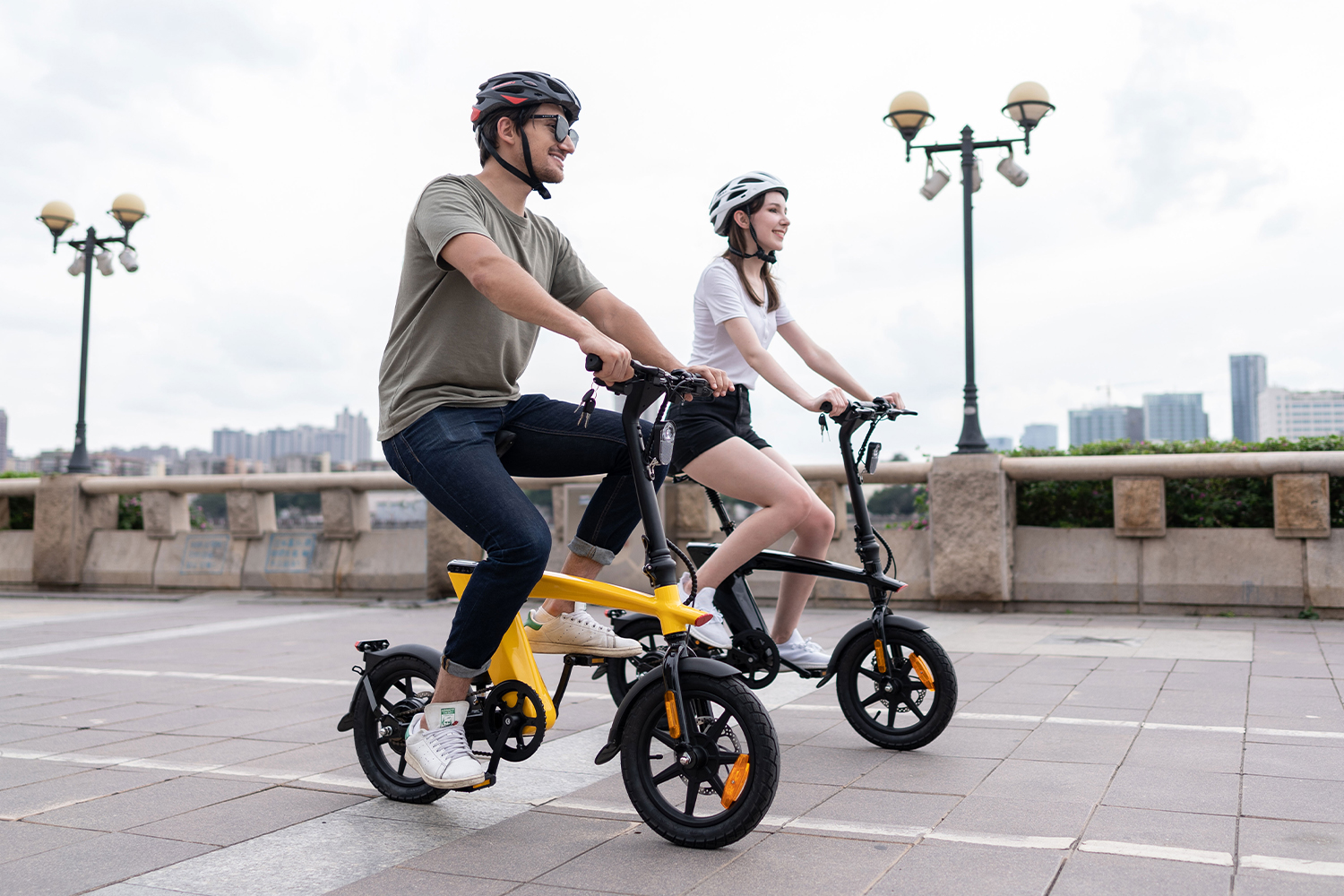 Folding Electric Bike 36V 250W 14
