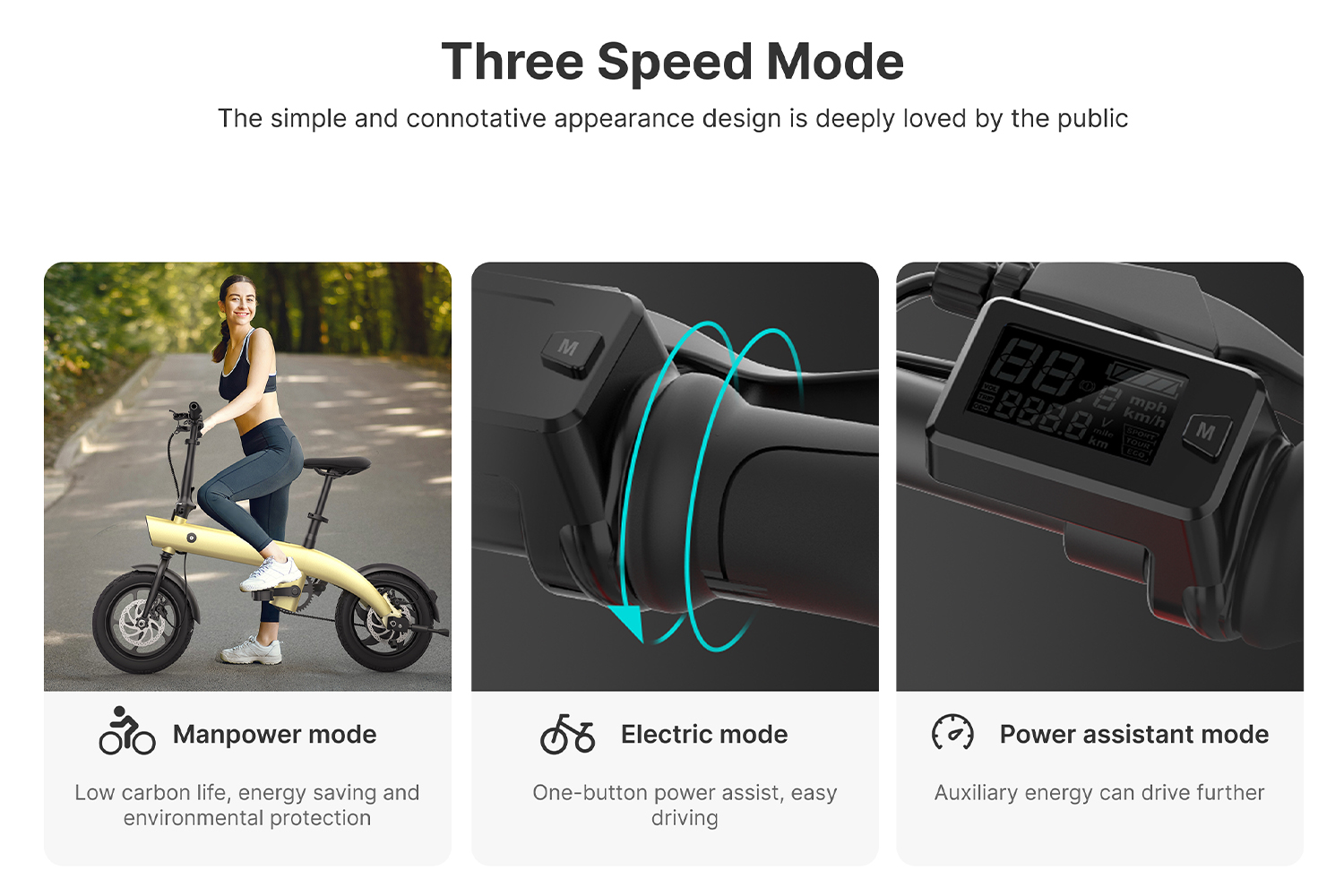Folding Electric Bike 36V 250W 14