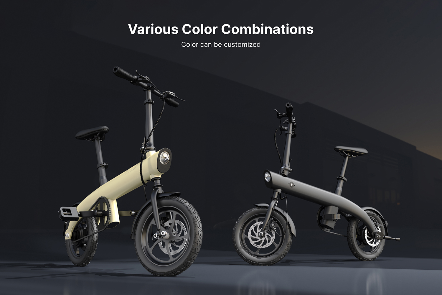 Folding Electric Bike 36V 250W 14