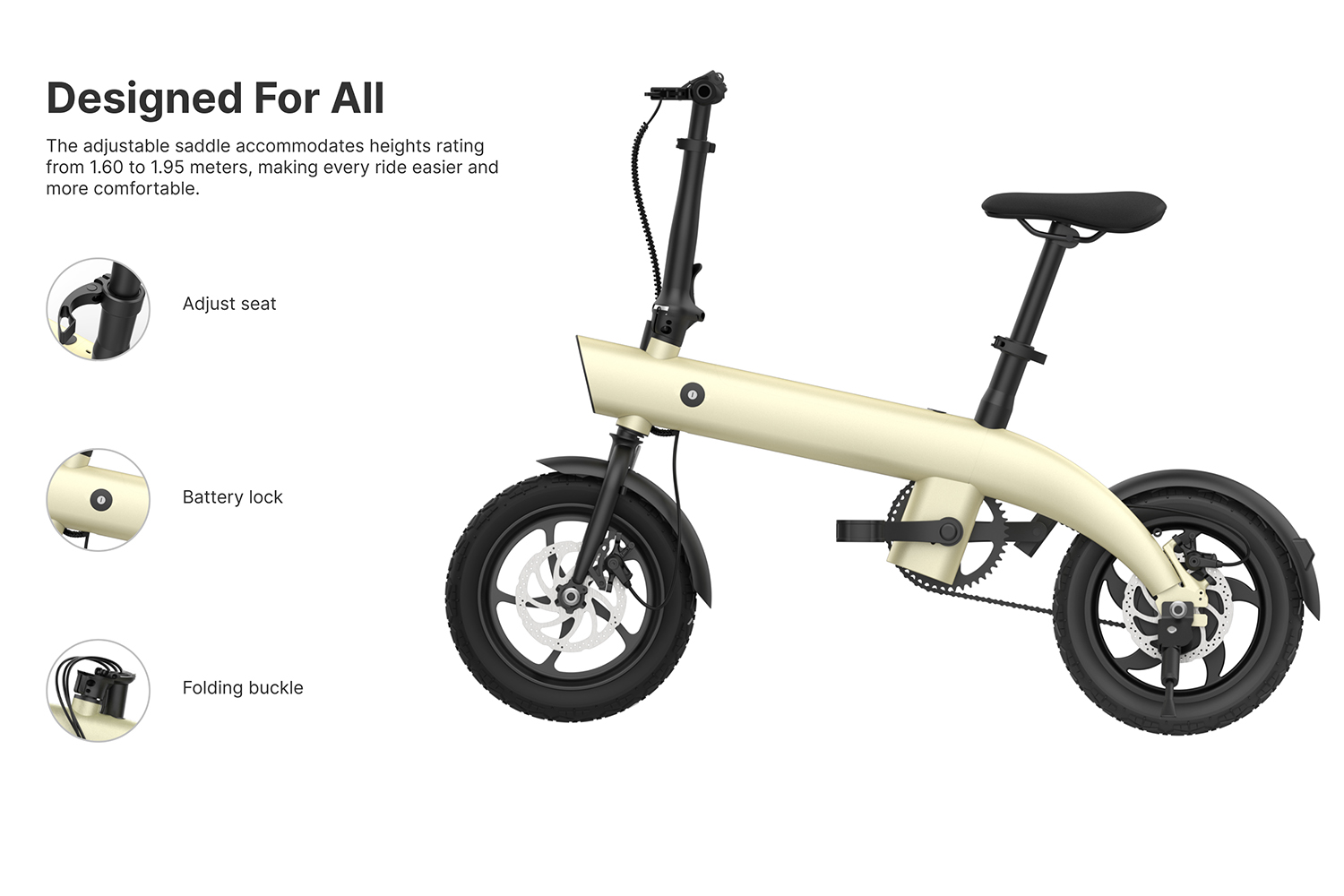 Folding Electric Bike 36V 250W 14