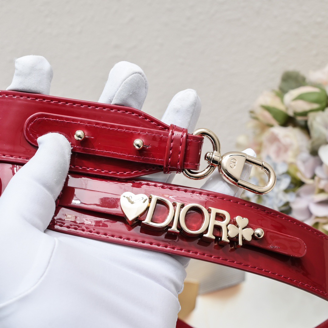 Dior Lady Classic Women Shoulder Bags 20cm