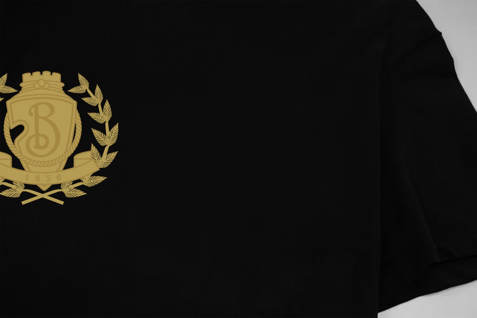 Burberry Cotton T Shirt Size XS-L